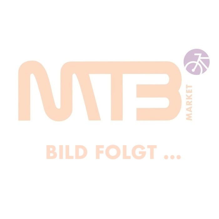 Riese & Müller Birdy touring